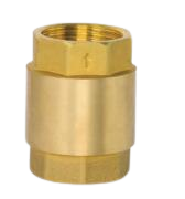 Brass vertical check valve