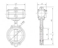Pneumatic hard seal butterfly valve