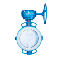 Lined fluorine butterfly valve